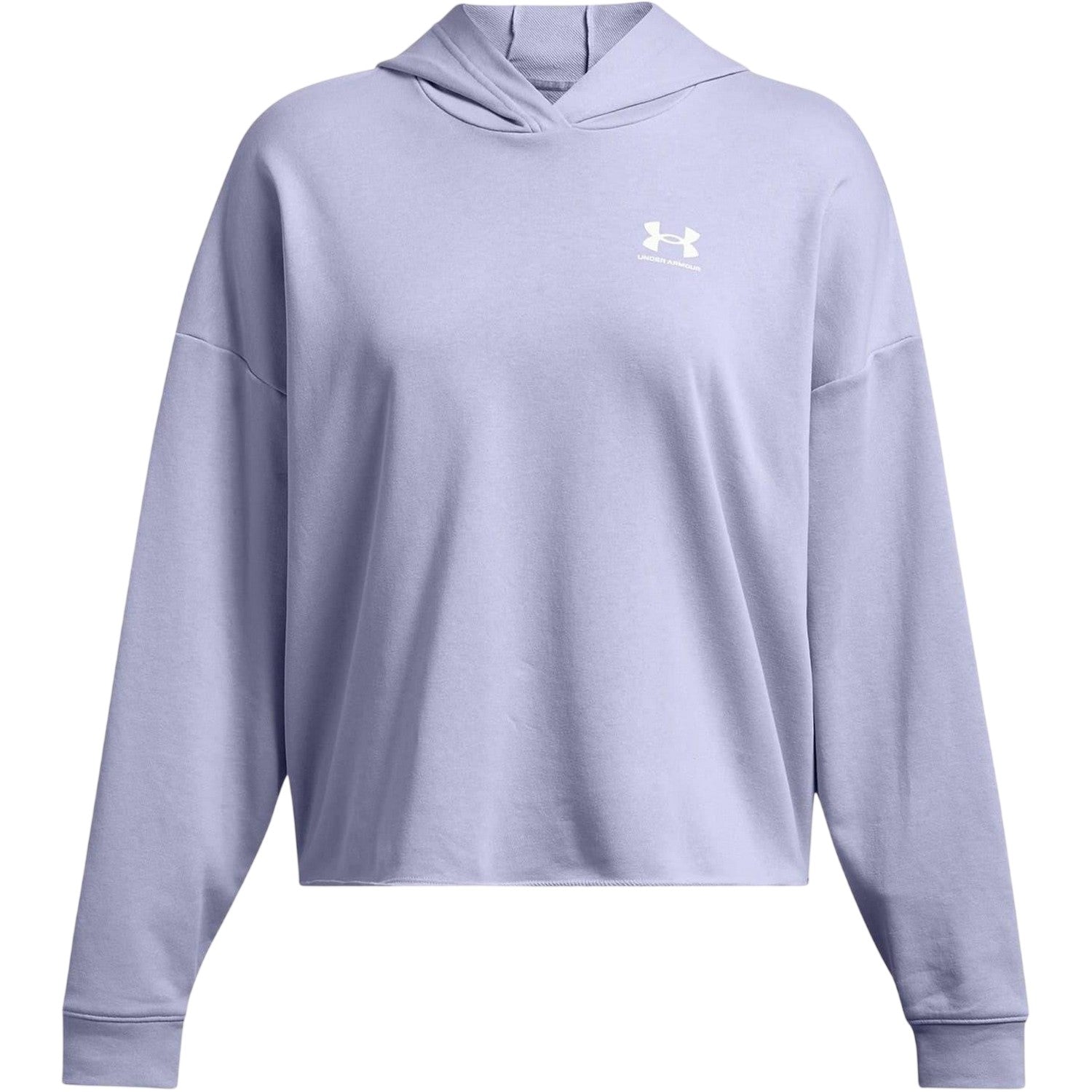 Celestial Grey - Front - Under Armour Womens-Ladies Relaxed Fit Crop Sweatshirt