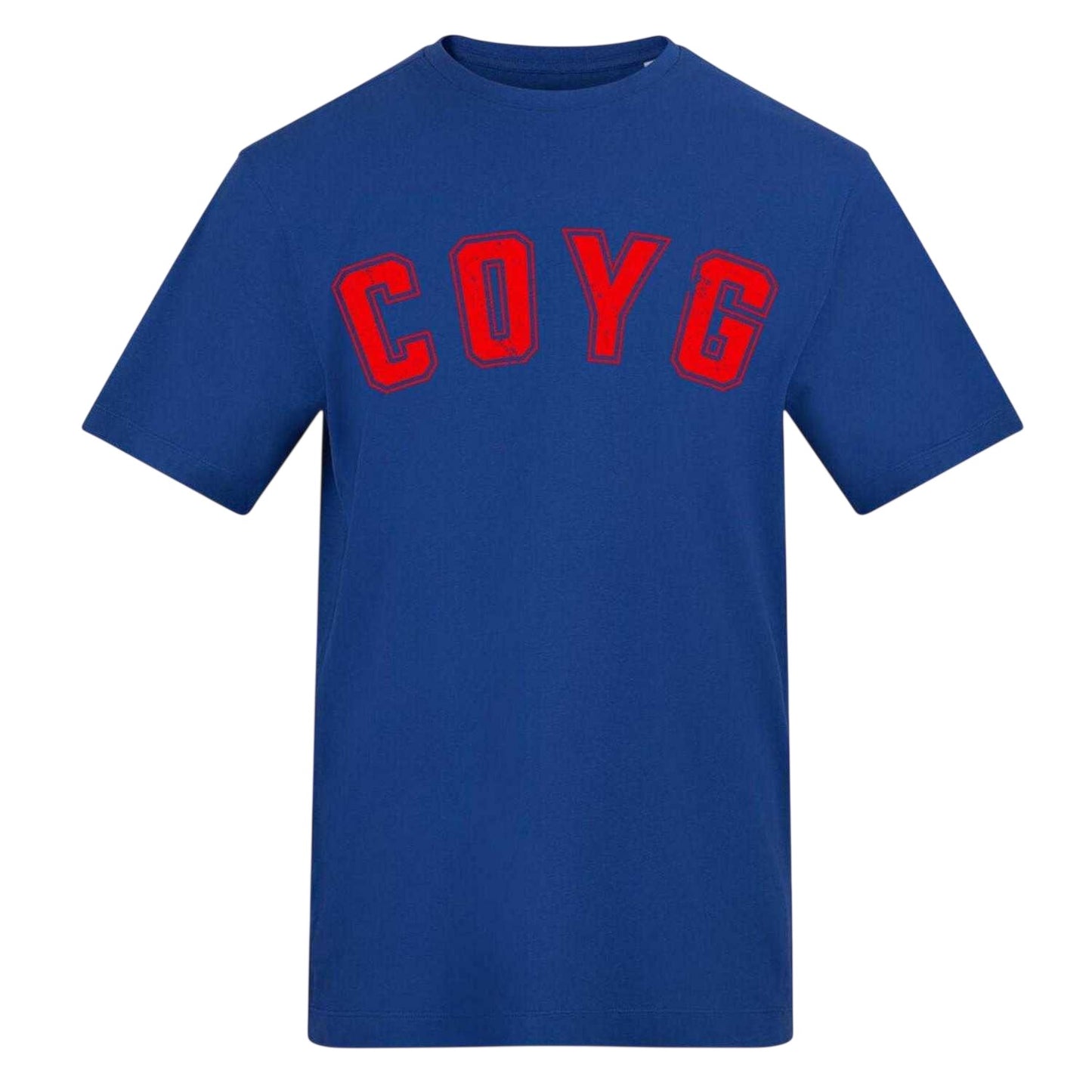 Blue-White - Front - AWD Mens Carabao Cup Printed T-Shirt