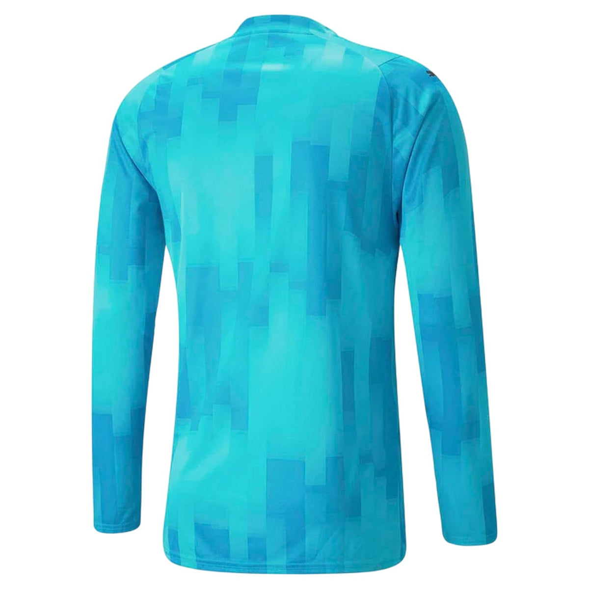 Blue - Back - Puma Mens Teamtarget Long-Sleeved Goalkeeper Jersey