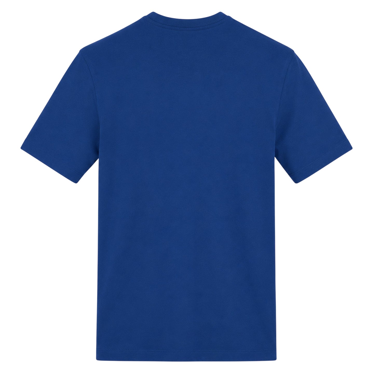Blue - Back - AWD Unisex Adult Scottish Flag T-Shirt