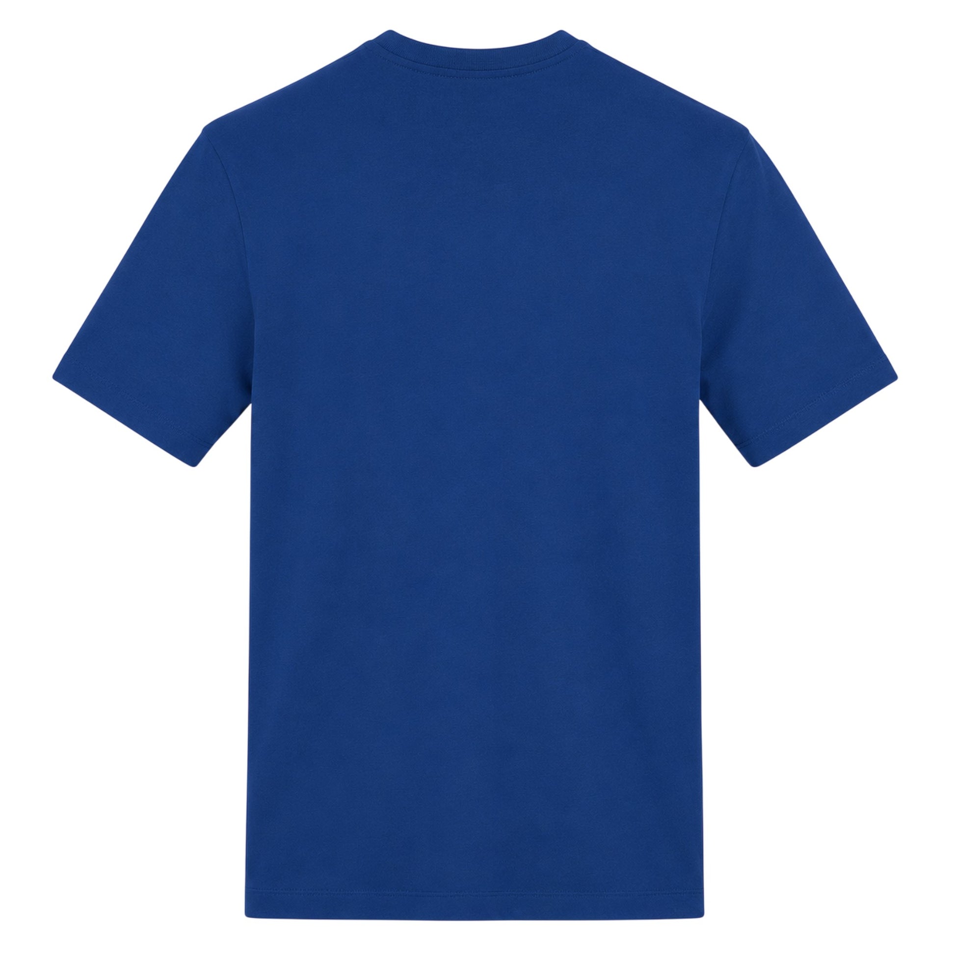 Blue - Back - AWD Unisex Adult Scottish Flag T-Shirt