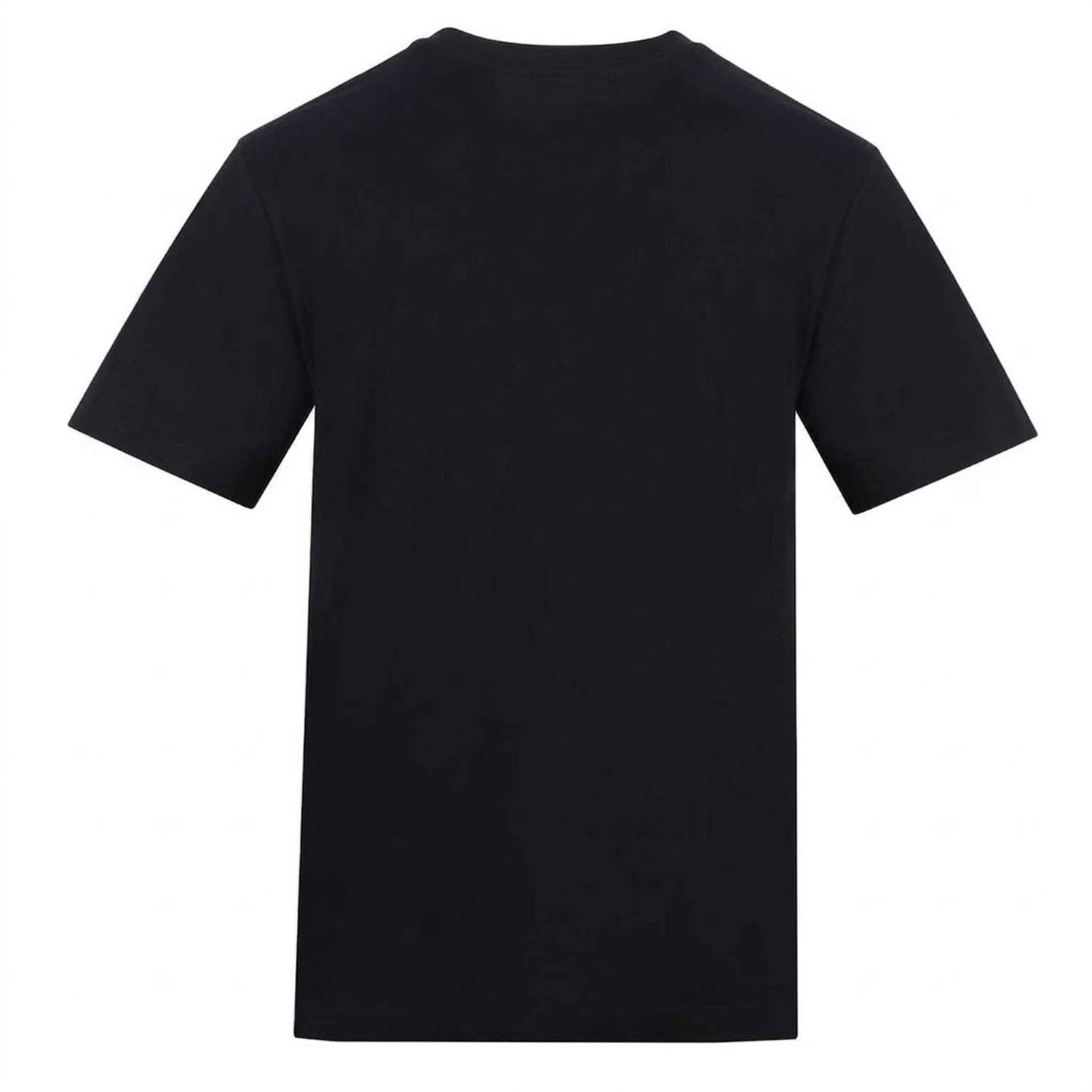 Black - Back - AWD Unisex Adult Scottish Flag T-Shirt