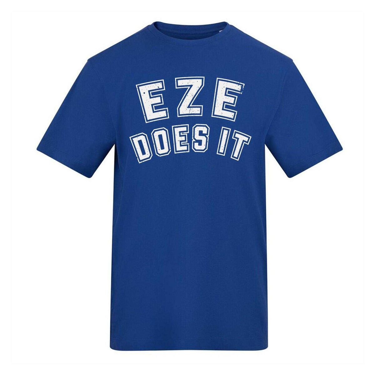 Blue - Front - AWD Mens Eze Does It Football T-Shirt