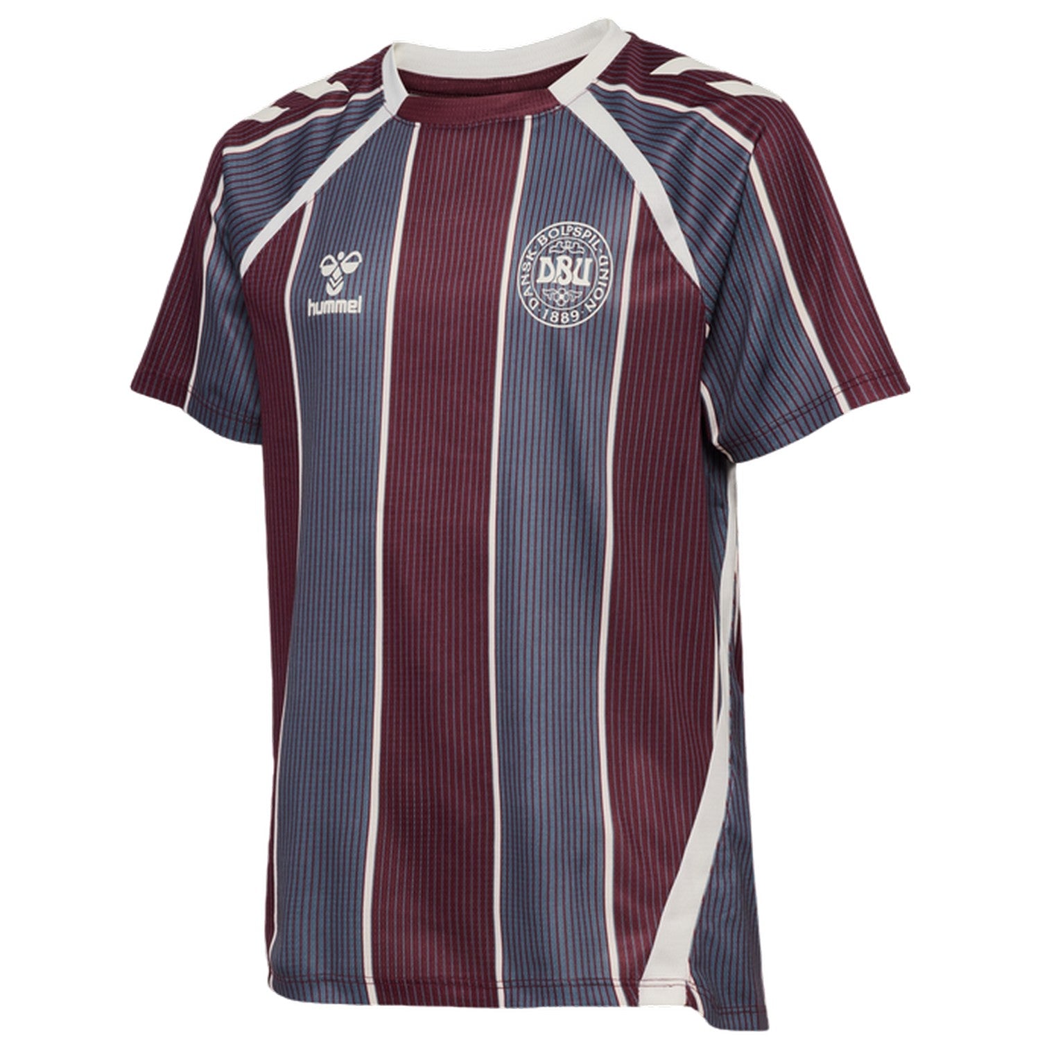 Multicoloured - Side - Hummel Childrens-Kids Pre-Match Denmark T-Shirt