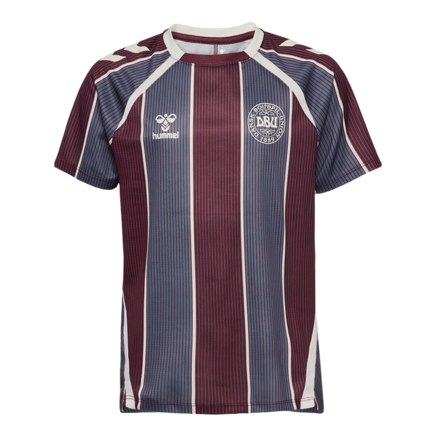 Multicoloured - Front - Hummel Childrens-Kids Pre-Match Denmark T-Shirt