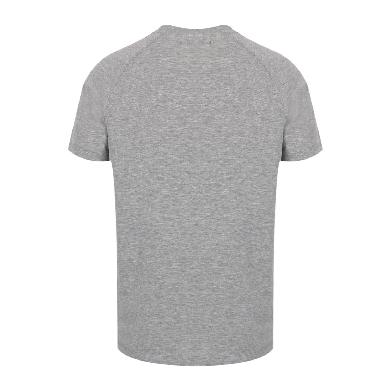 Grey - Back - No Fear Mens Crew Neck Slim T-Shirt