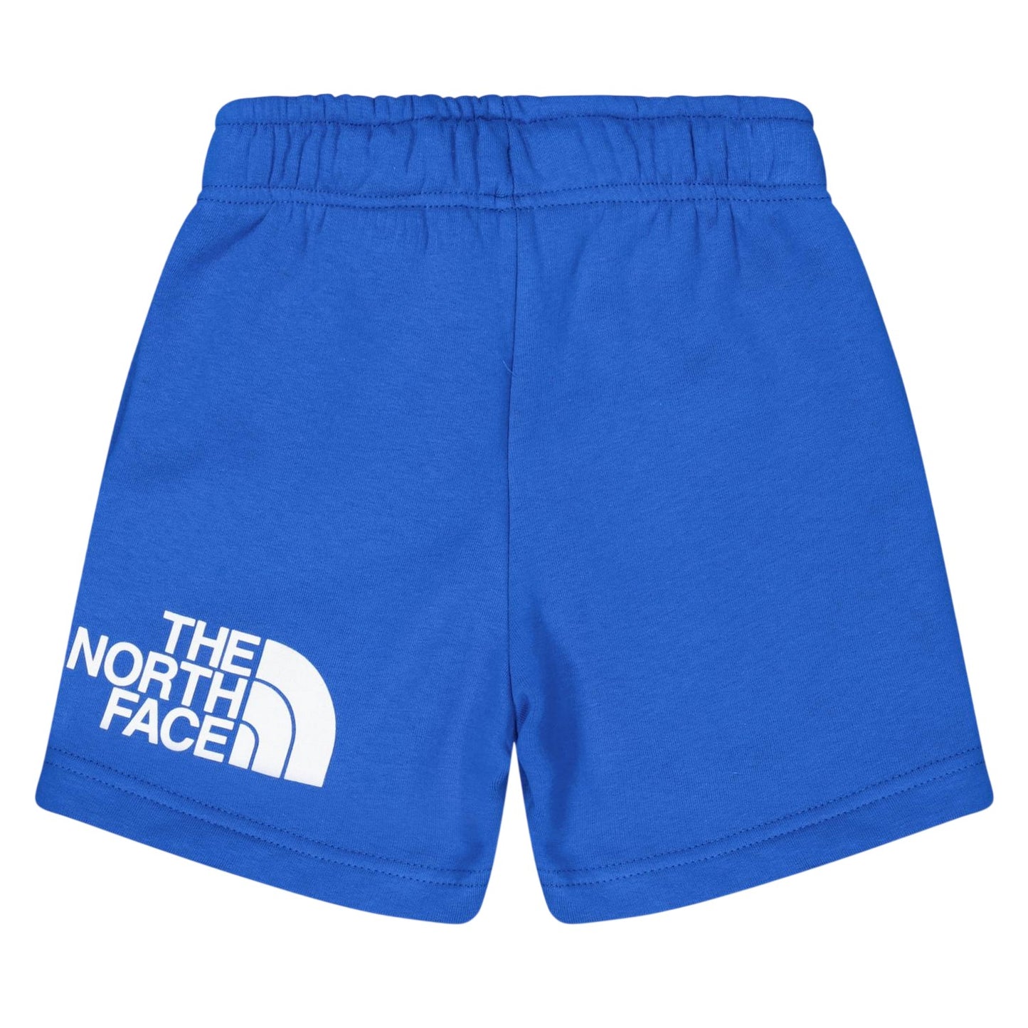 Blue - Back - The North Face Mens Cotton Blend Shorts