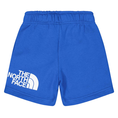 Blue - Back - The North Face Mens Cotton Blend Shorts