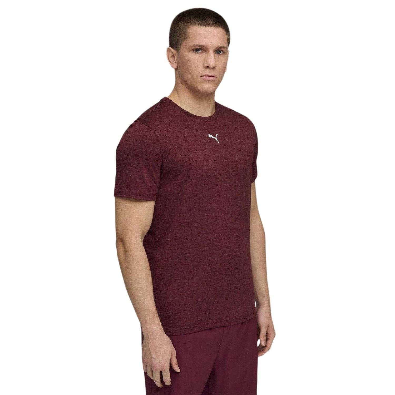 Burgundy - Side - Puma Mens Tad Performance Gym T-Shirt