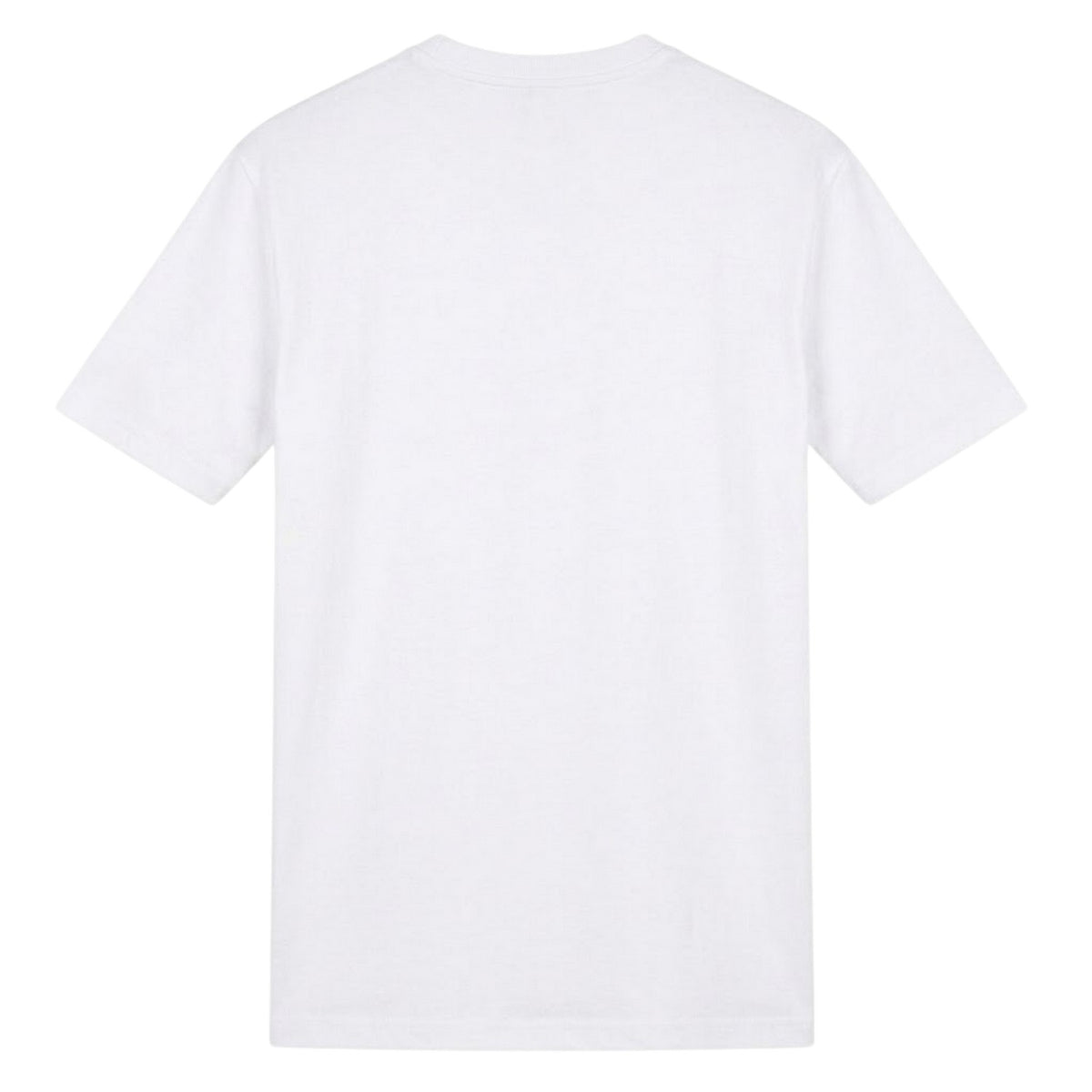 Ireland Green - Back - AWD Mens Ireland Six Nations Champions 2026 T-Shirt