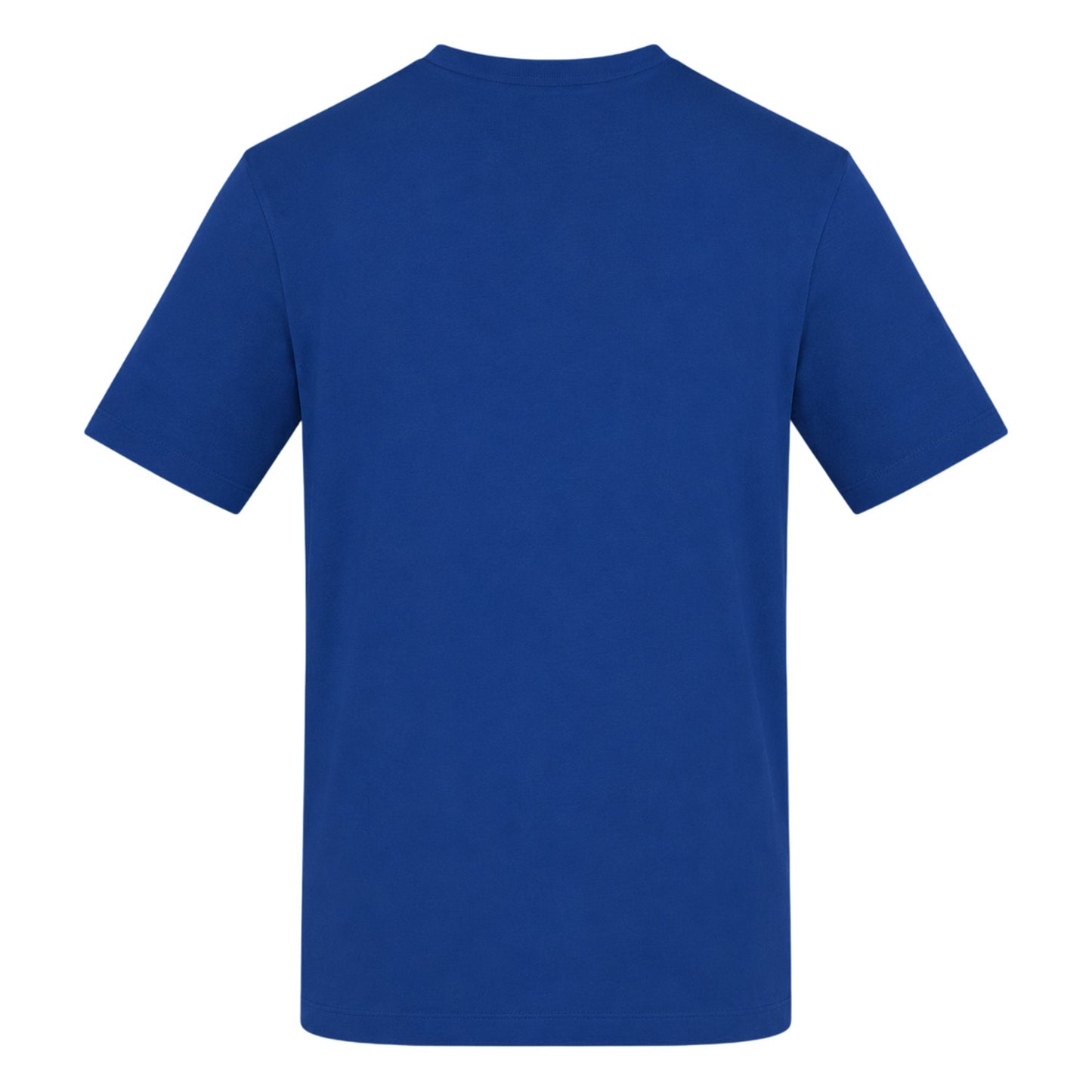 Blue - Back - AWD Mens Yes Sir, I Can Boogie T-Shirt