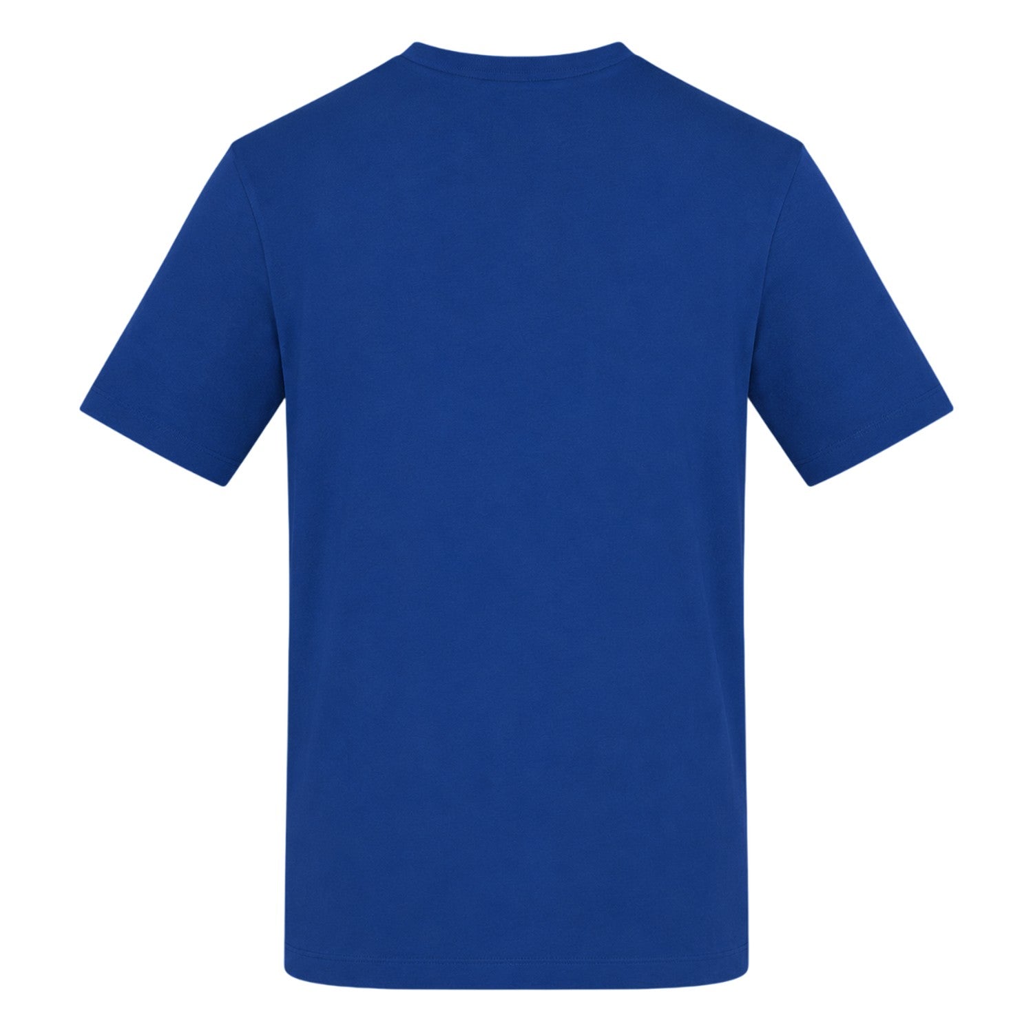 Blue - Back - AWD Mens Yes Sir, I Can Boogie T-Shirt