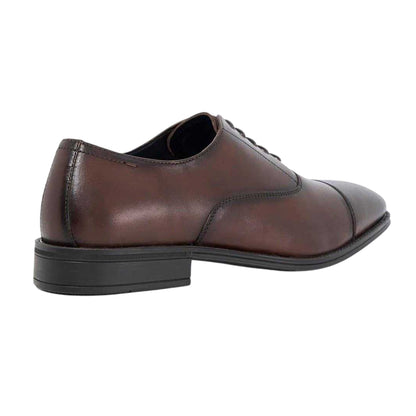 Dark Brown - Back - Dune London Mens Steffon Leather Oxford Shoes