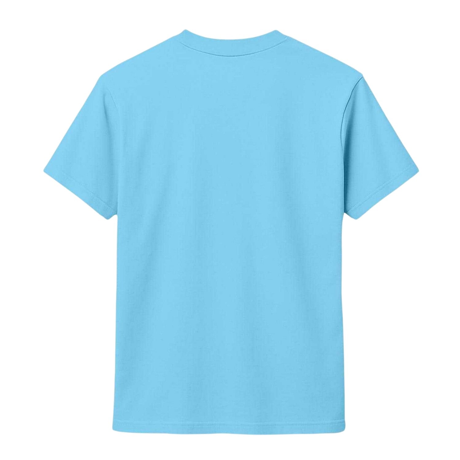 Sky Blue - Back - Republic of California Mens Cali Crew Neck T-Shirt