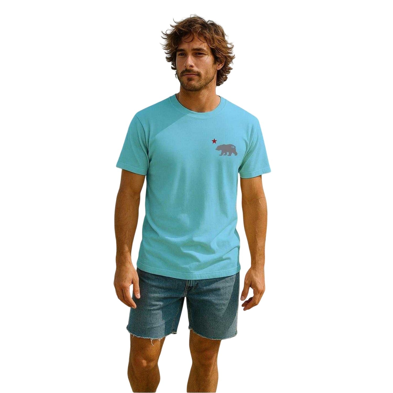Sky Blue - Side - Republic of California Mens Cali Crew Neck T-Shirt