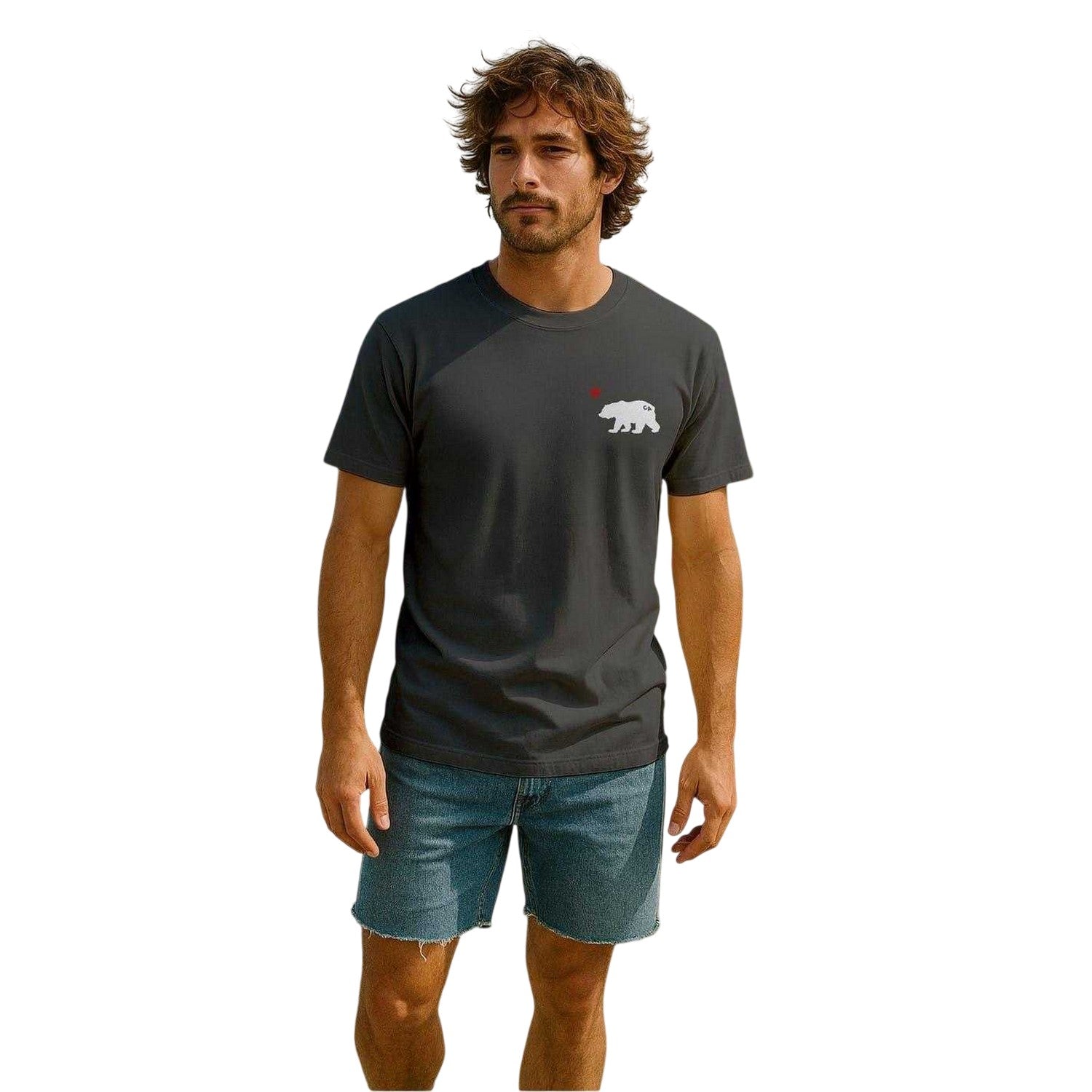 Charcoal - Side - Republic of California Mens Cali Crew Neck T-Shirt