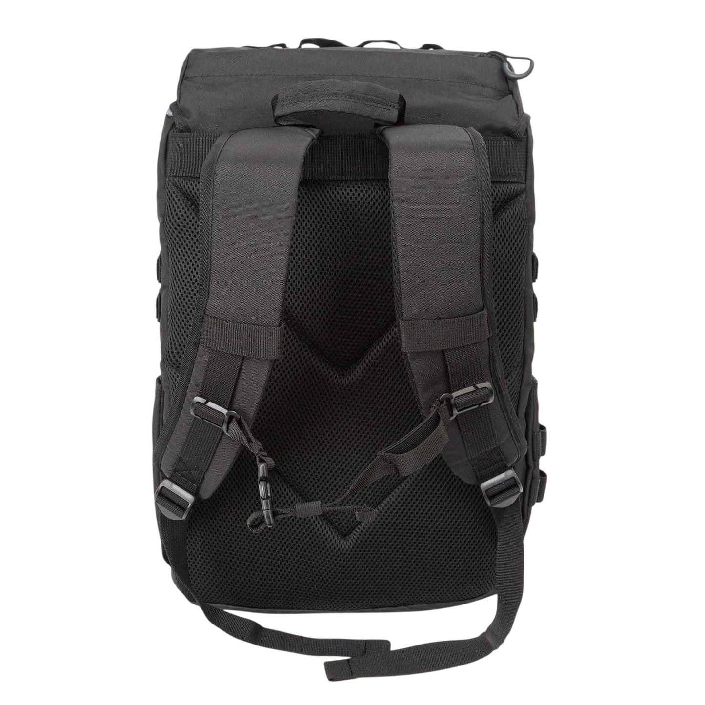 Black - Back - Everlast Hiking Backpack
