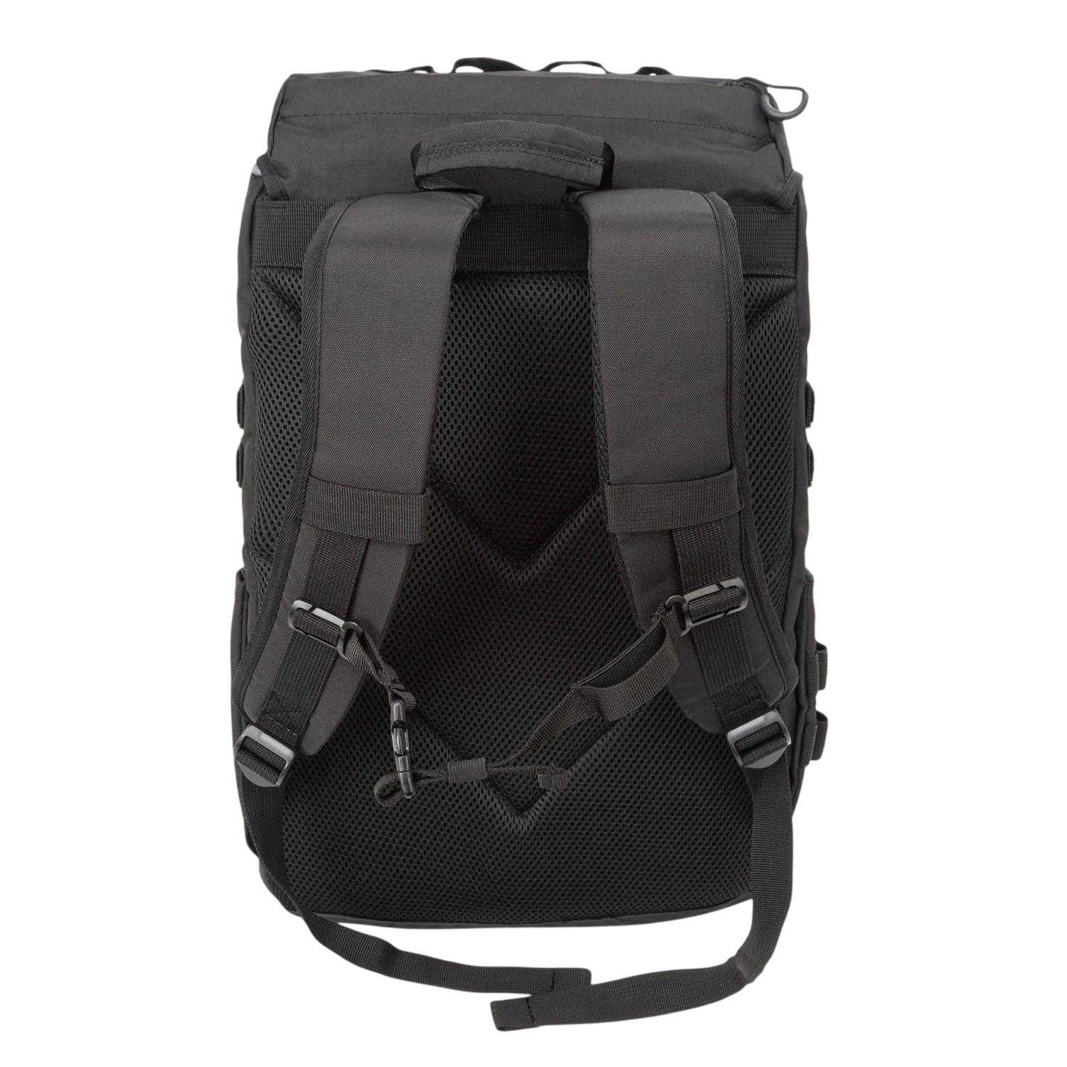 Black - Back - Everlast Hiking Backpack