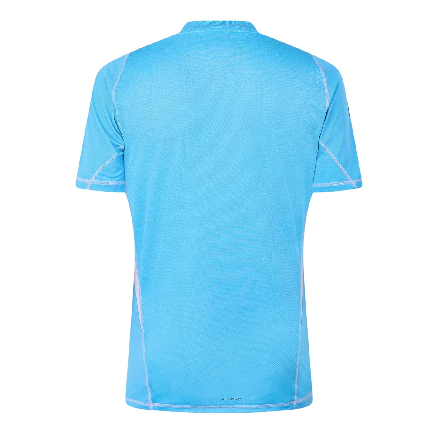 Blue Burst - Back - Adidas Mens Tiro24 Pro Logo Goalkeeper Jersey