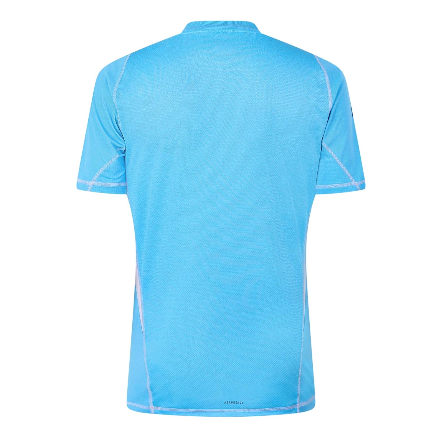 Blue Burst - Back - Adidas Mens Tiro24 Pro Logo Goalkeeper Jersey