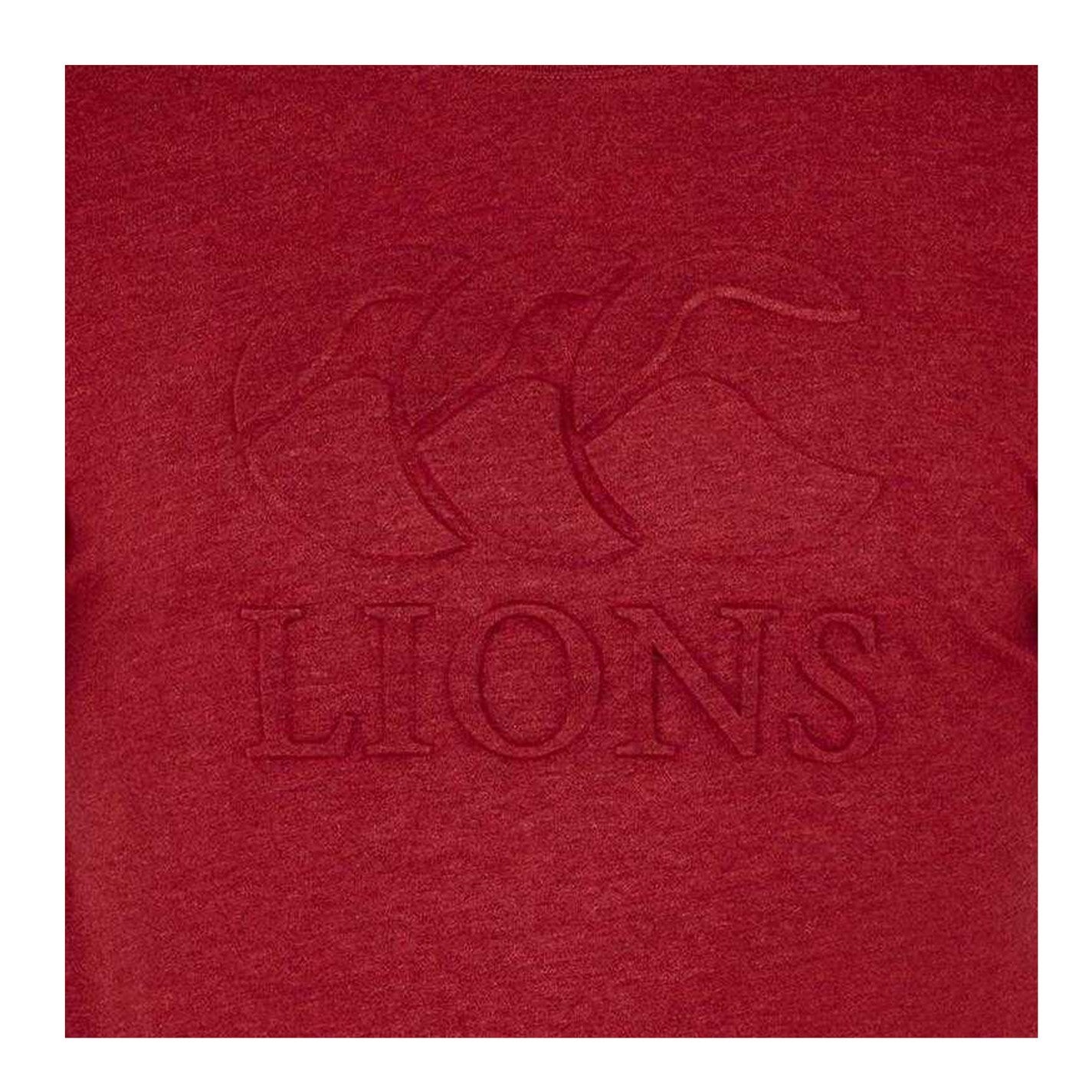 Red Dahlia - Side - Canterbury Mens Monument 2025 British & Irish Lions T-Shirt