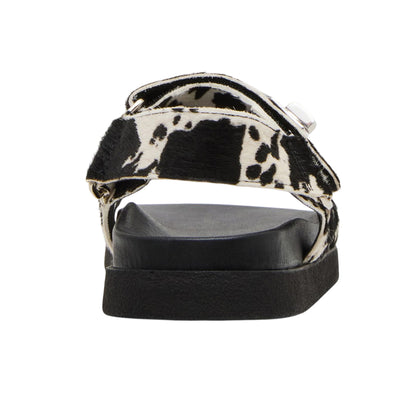 Black-White - Back - Steve Madden Womens-Ladies Mona Cow Print Leather Sandals