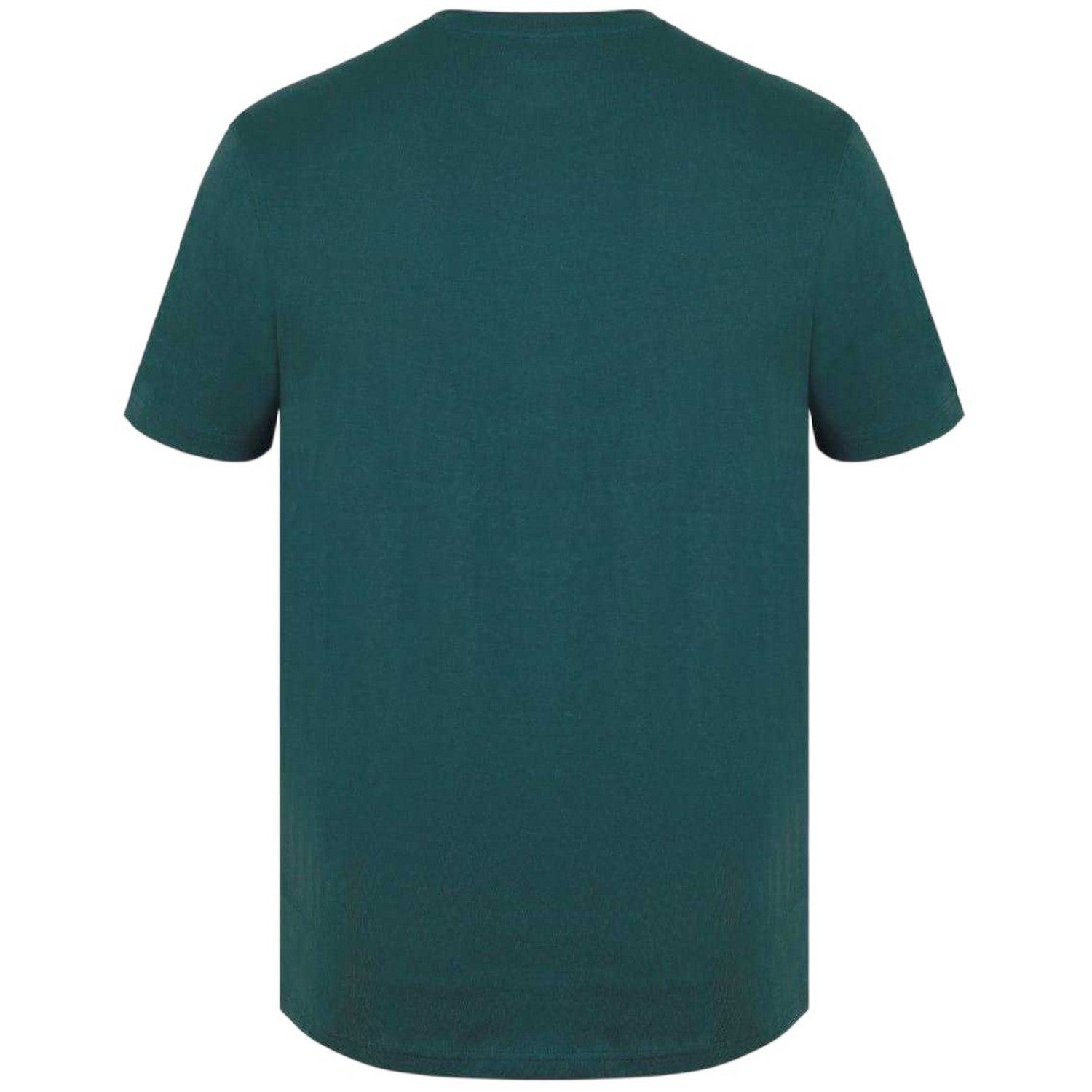 Pine - Back - Jack Wills Mens Sandleford Logo T-Shirt