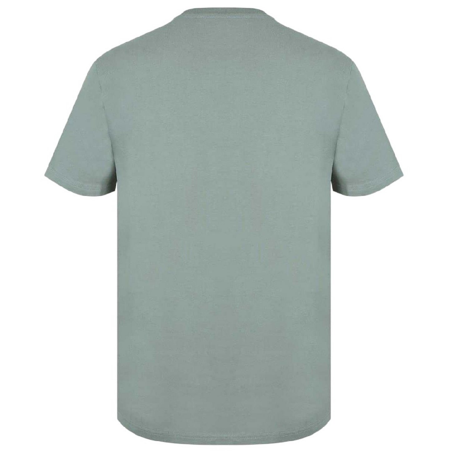 Silver Sage - Back - Jack Wills Mens Sandleford Logo T-Shirt