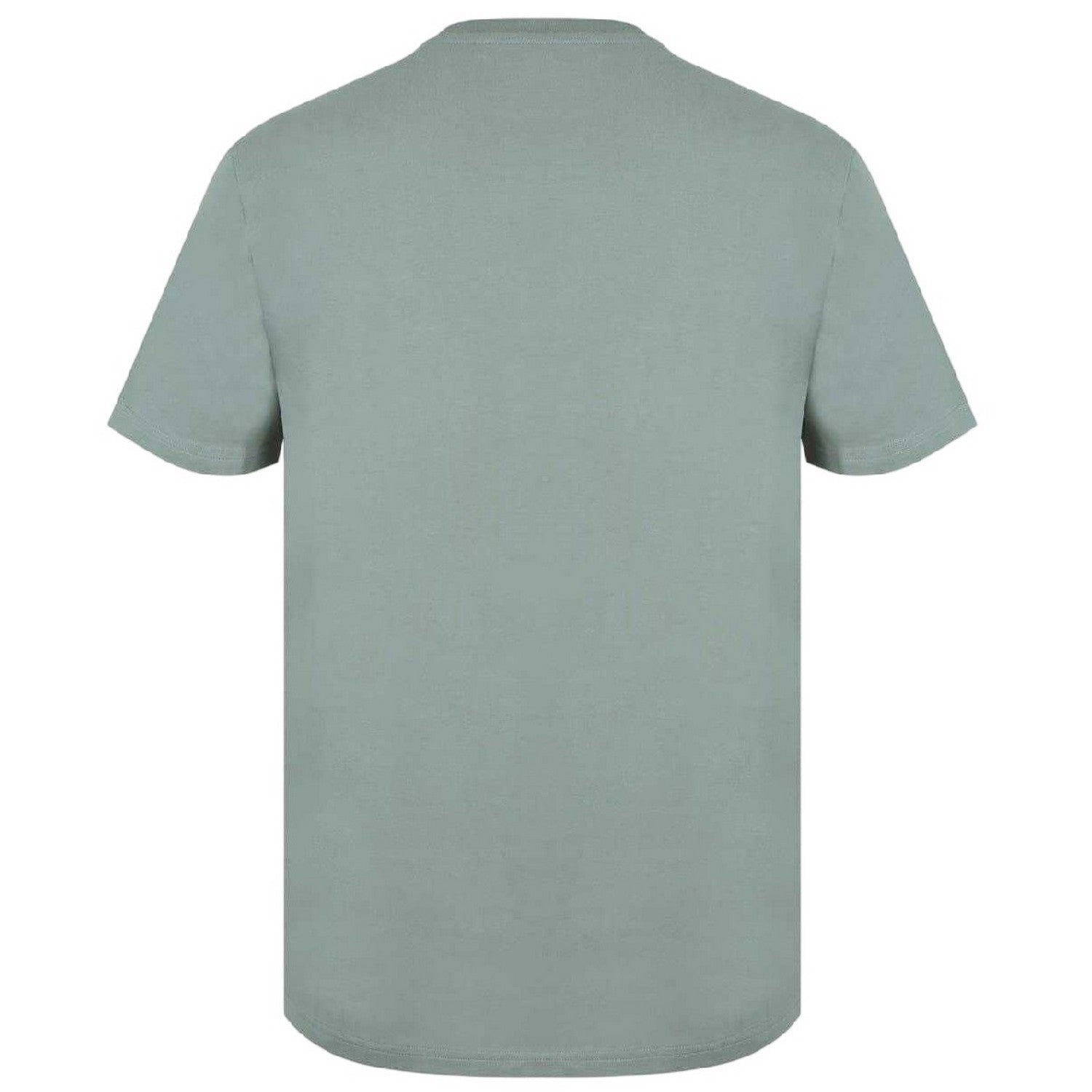 Silver Sage - Back - Jack Wills Mens Sandleford Logo T-Shirt