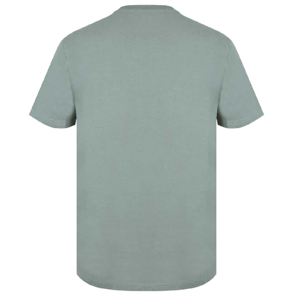 Silver Sage - Back - Jack Wills Mens Sandleford Logo T-Shirt