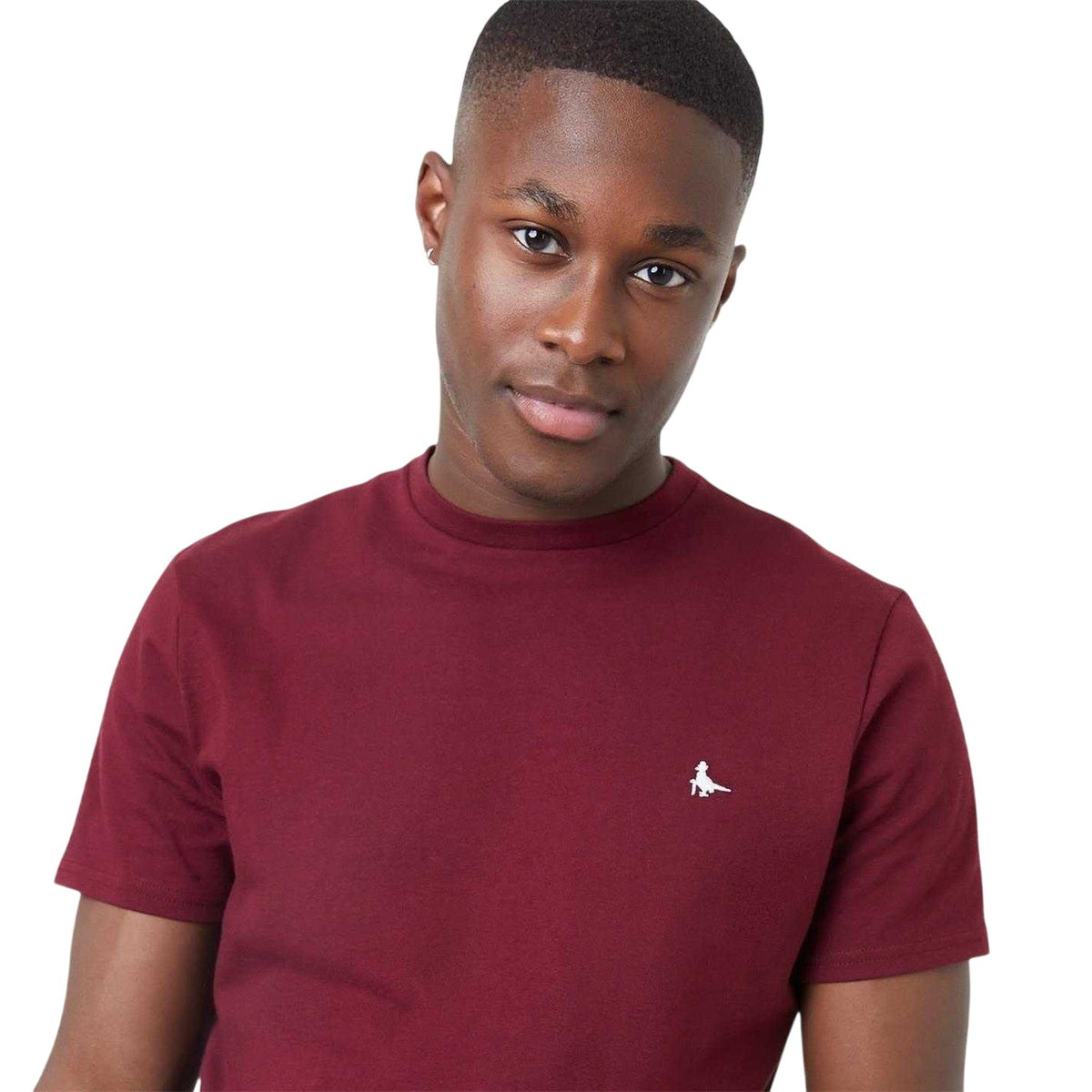 Damson - Side - Jack Wills Mens Sandleford Logo T-Shirt
