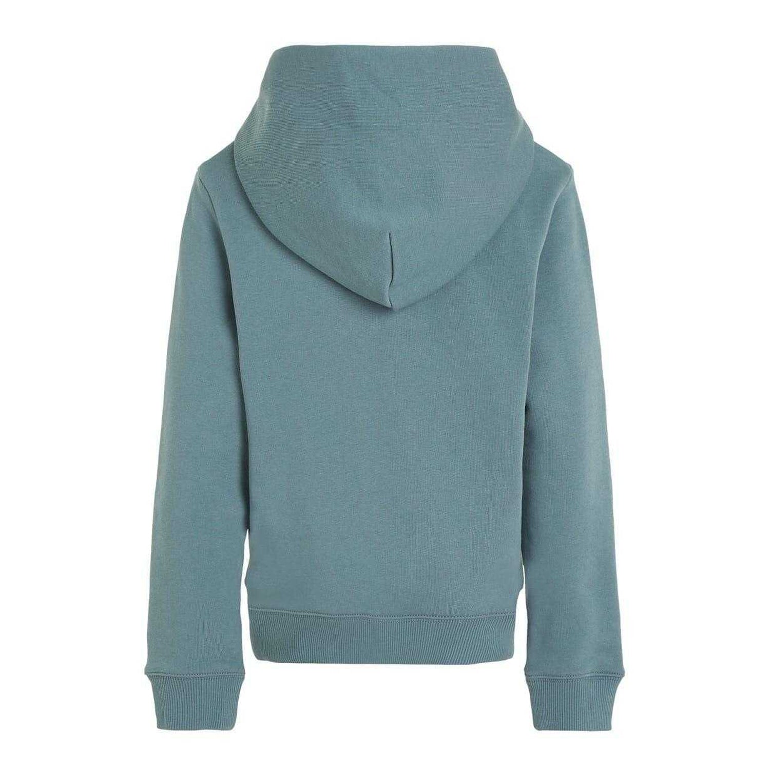 Goblin Blue - Back - Calvin Klein Childrens-Kids Logo Hoodie