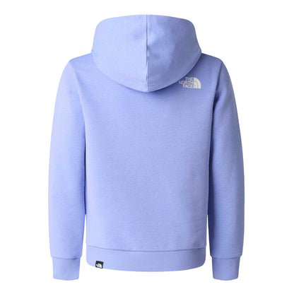 Periwinkle Blue - Back - The North Face Childrens-Kids Dome Logo Cotton Blend Hoodie