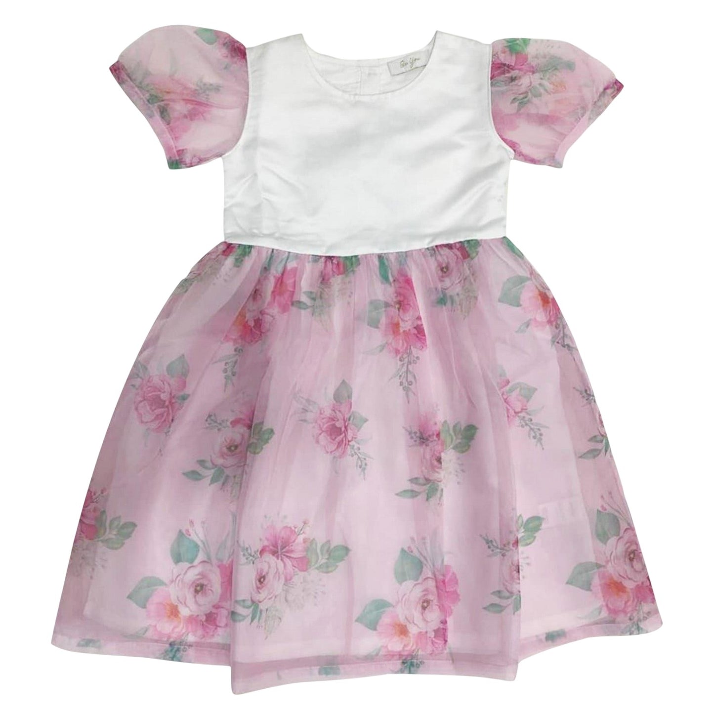 Floral-Multicoloured Print - Front - Be You Girls Floral Puff Sleeve Mini Dress