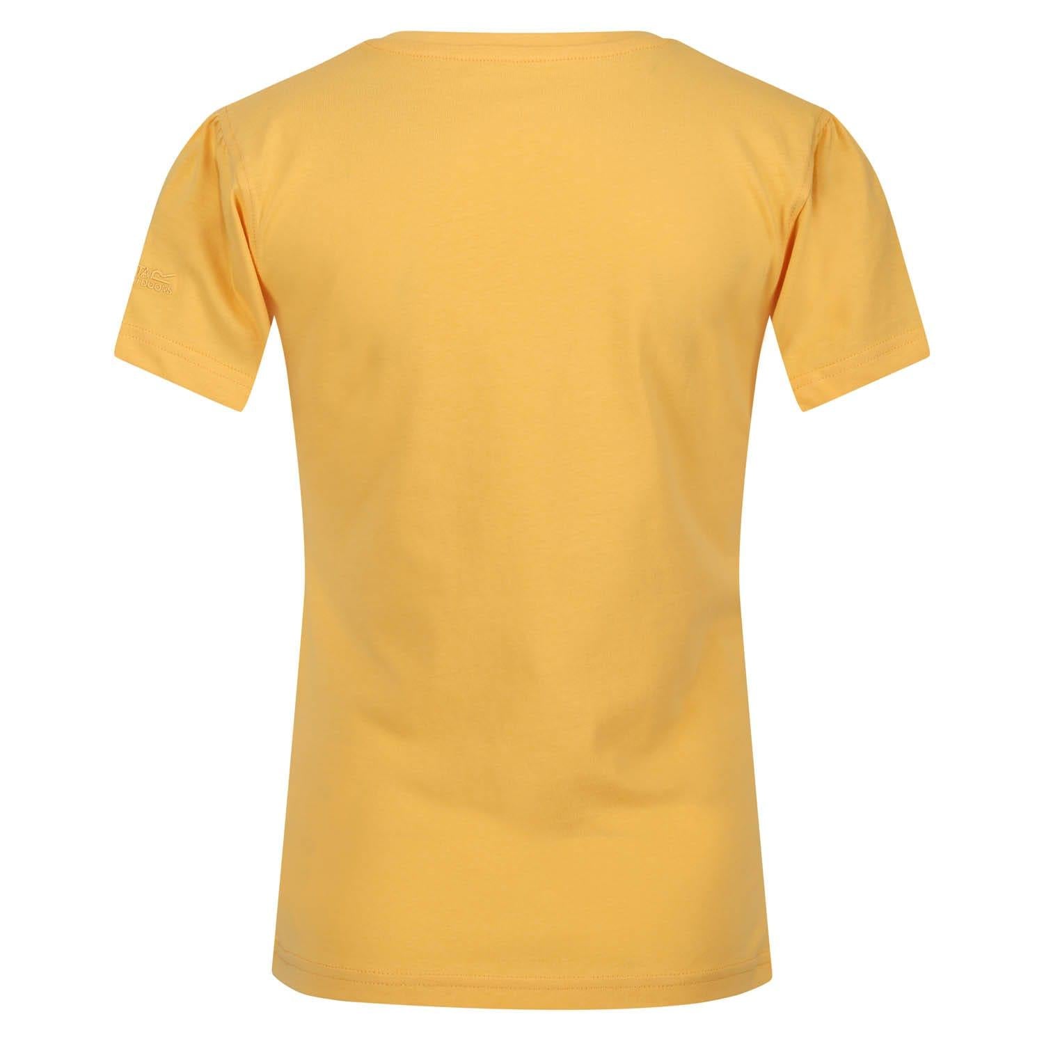 Yellow - Back - Regatta Childrens-Kids Bosley VI Sunset Seeker T-Shirt