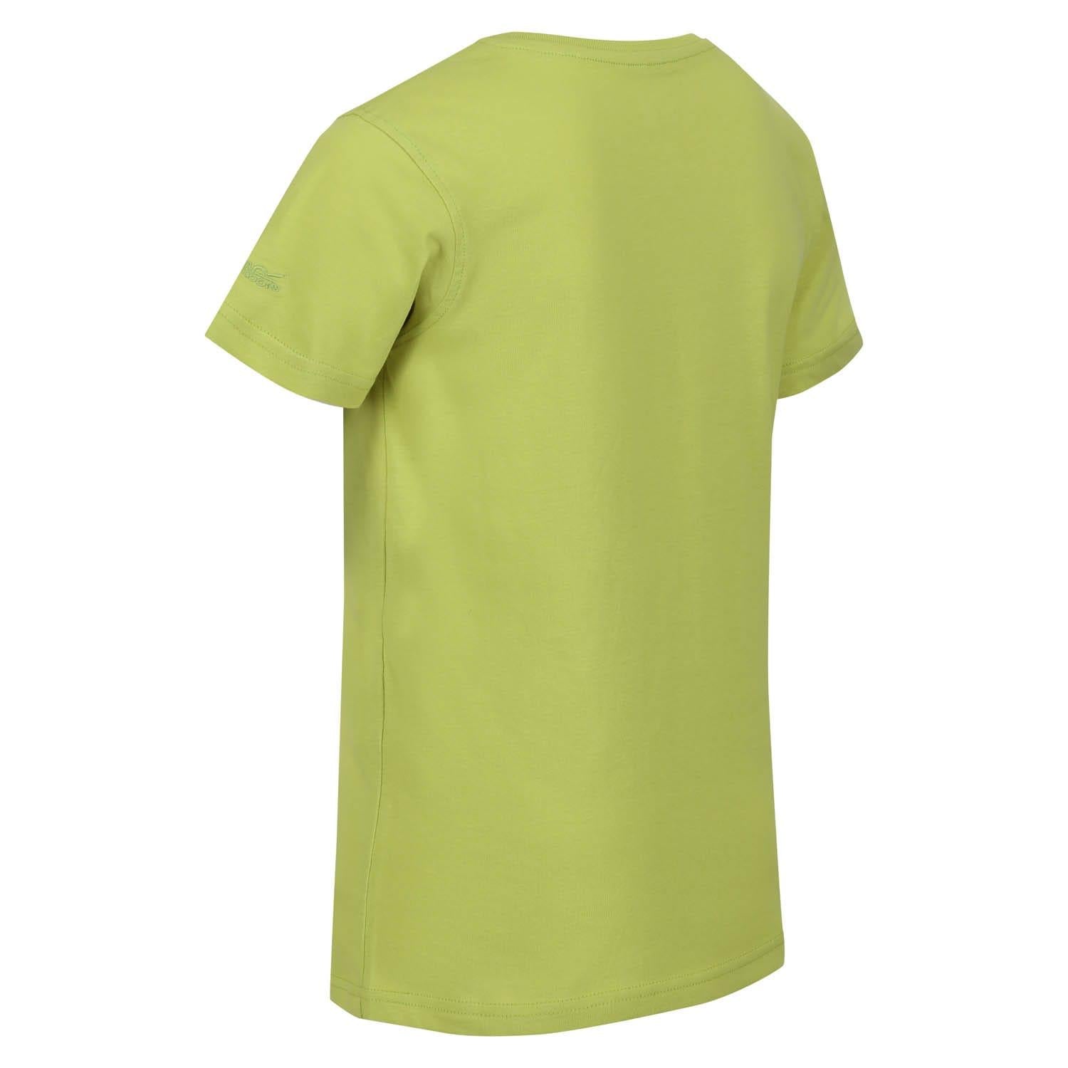 Green - Lifestyle - Regatta Childrens-Kids Bosley VI Hawaii T-Shirt