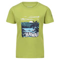 Green - Front - Regatta Childrens-Kids Bosley VI Hawaii T-Shirt