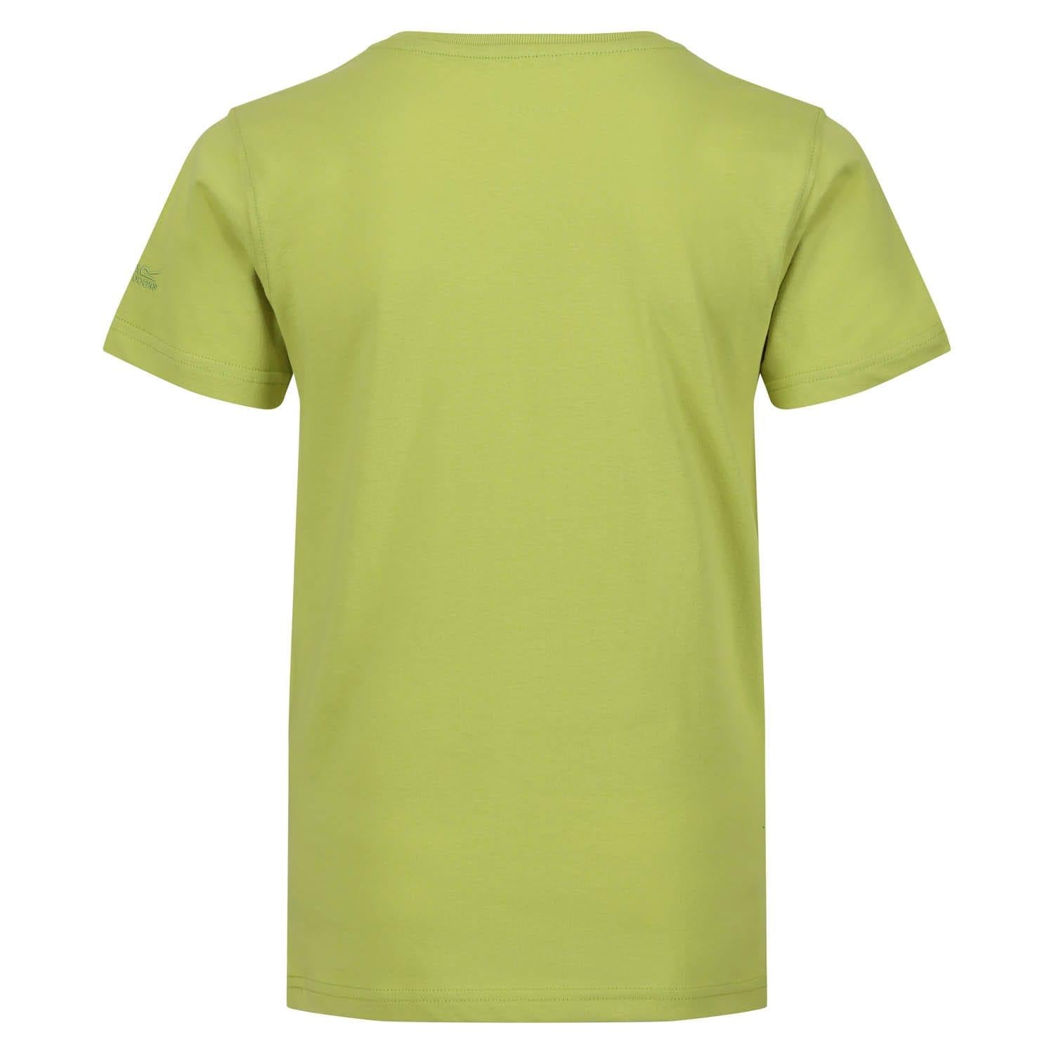 Green - Back - Regatta Childrens-Kids Bosley VI Hawaii T-Shirt