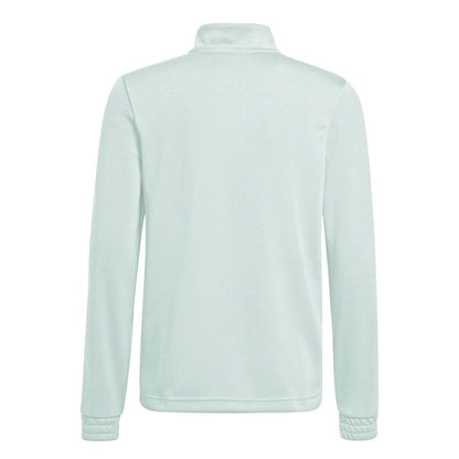 Mint - Back - Adidas Mens Entrada 22 Top