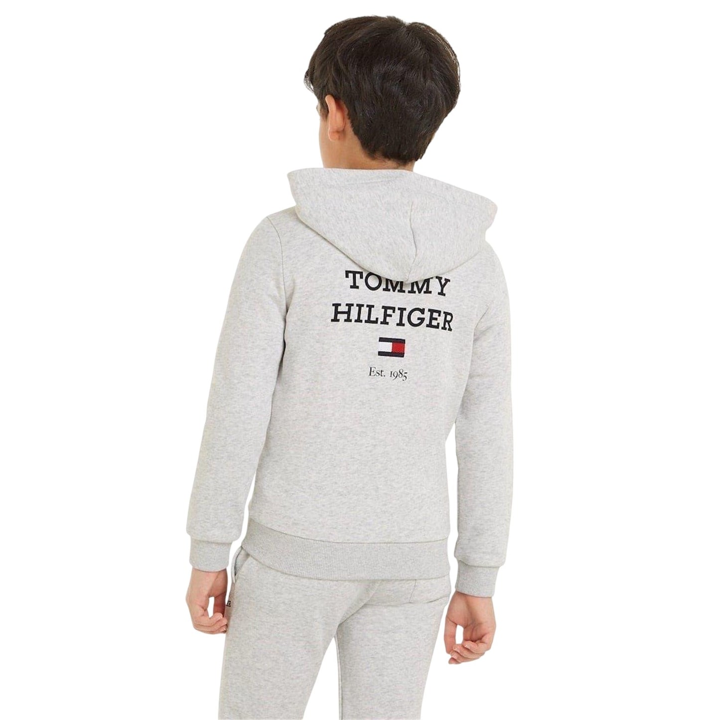 Light Heather - Back - Tommy Hilfiger Boys Logo Full Zip Hoodie