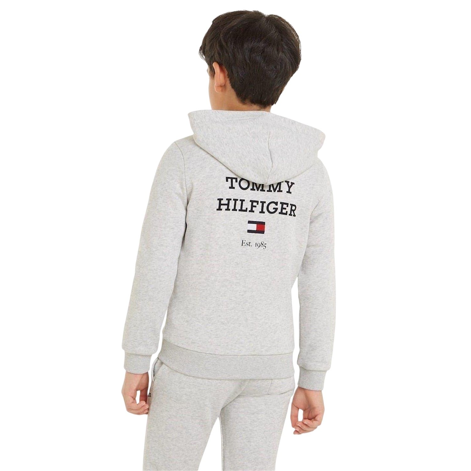 Light Heather - Back - Tommy Hilfiger Boys Logo Full Zip Hoodie
