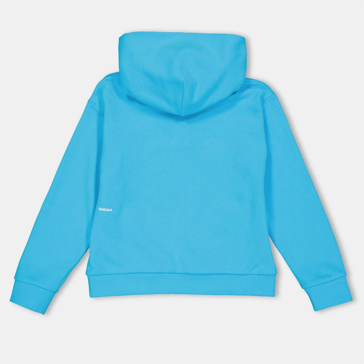 Ocean Blue-Turquoise Blue - Back - Pangaia Childrens-Kids 365 Cotton Relaxed Fit Hoodie