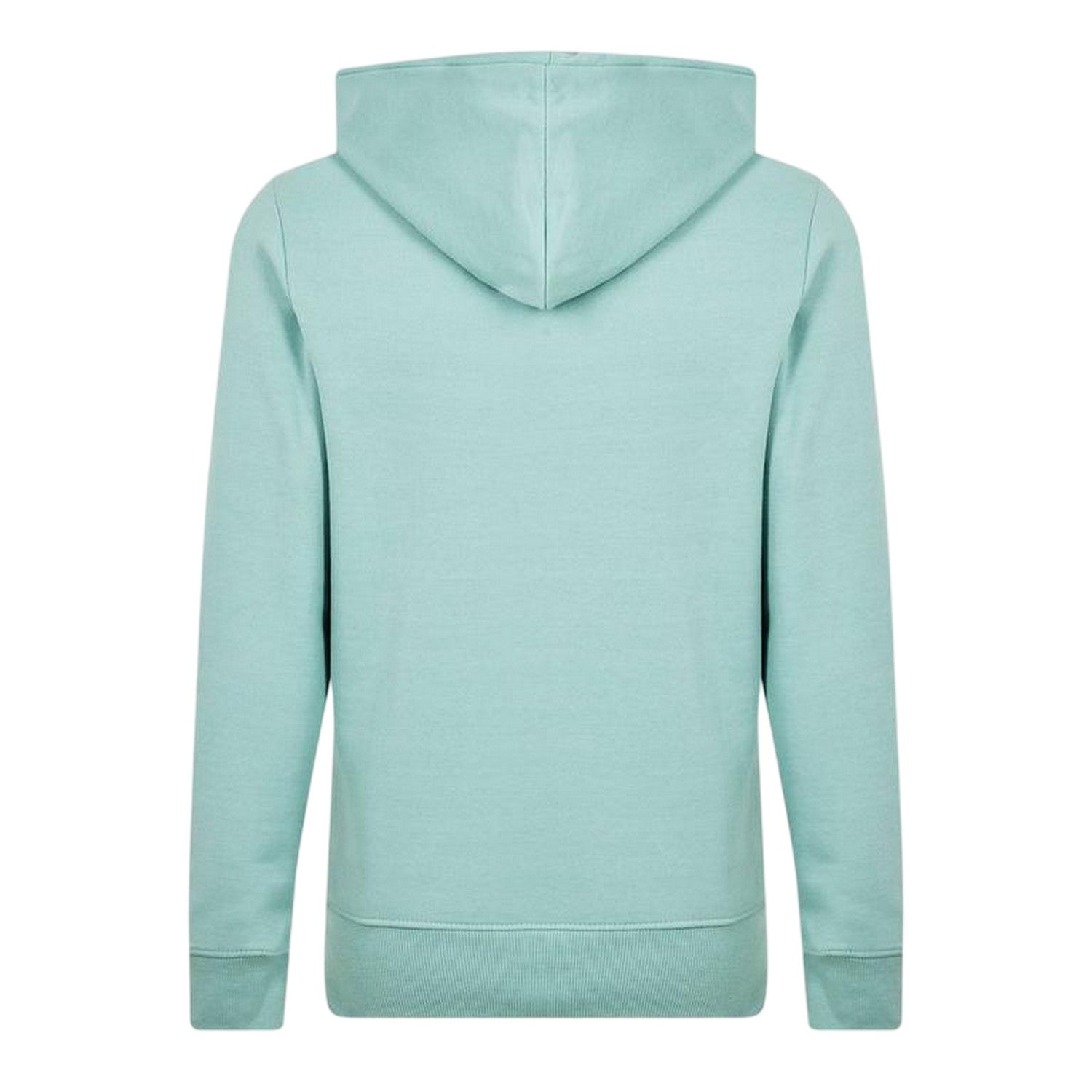 Blue - Back - Born Rich Mens Jairo Hoodie