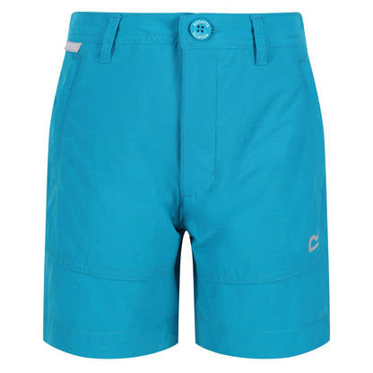 Enamel - Front - Regatta Childrens-Kids Highton Walking Shorts