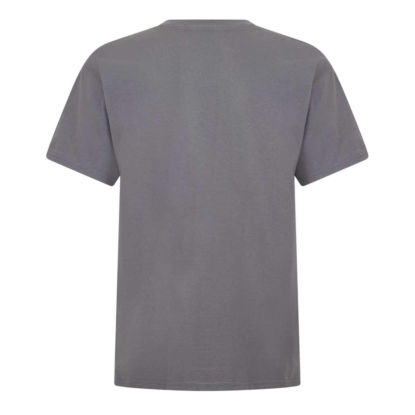 Grey - Back - Nirvana Womens-Ladies Logo T-Shirt