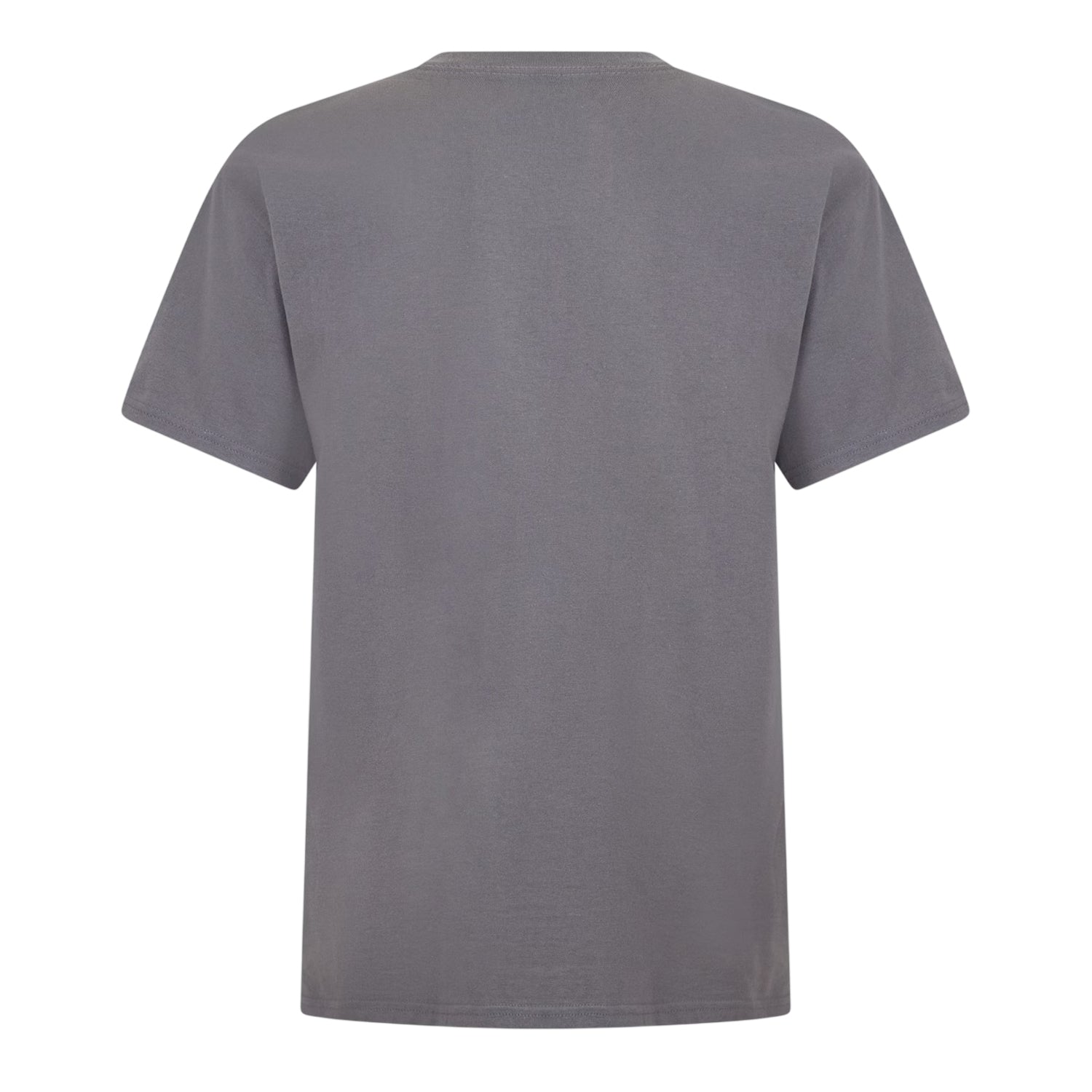 Grey - Back - Nirvana Womens-Ladies Logo T-Shirt