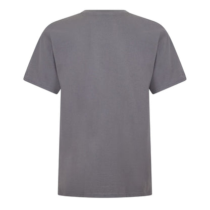 Grey - Back - Nirvana Womens-Ladies Logo T-Shirt