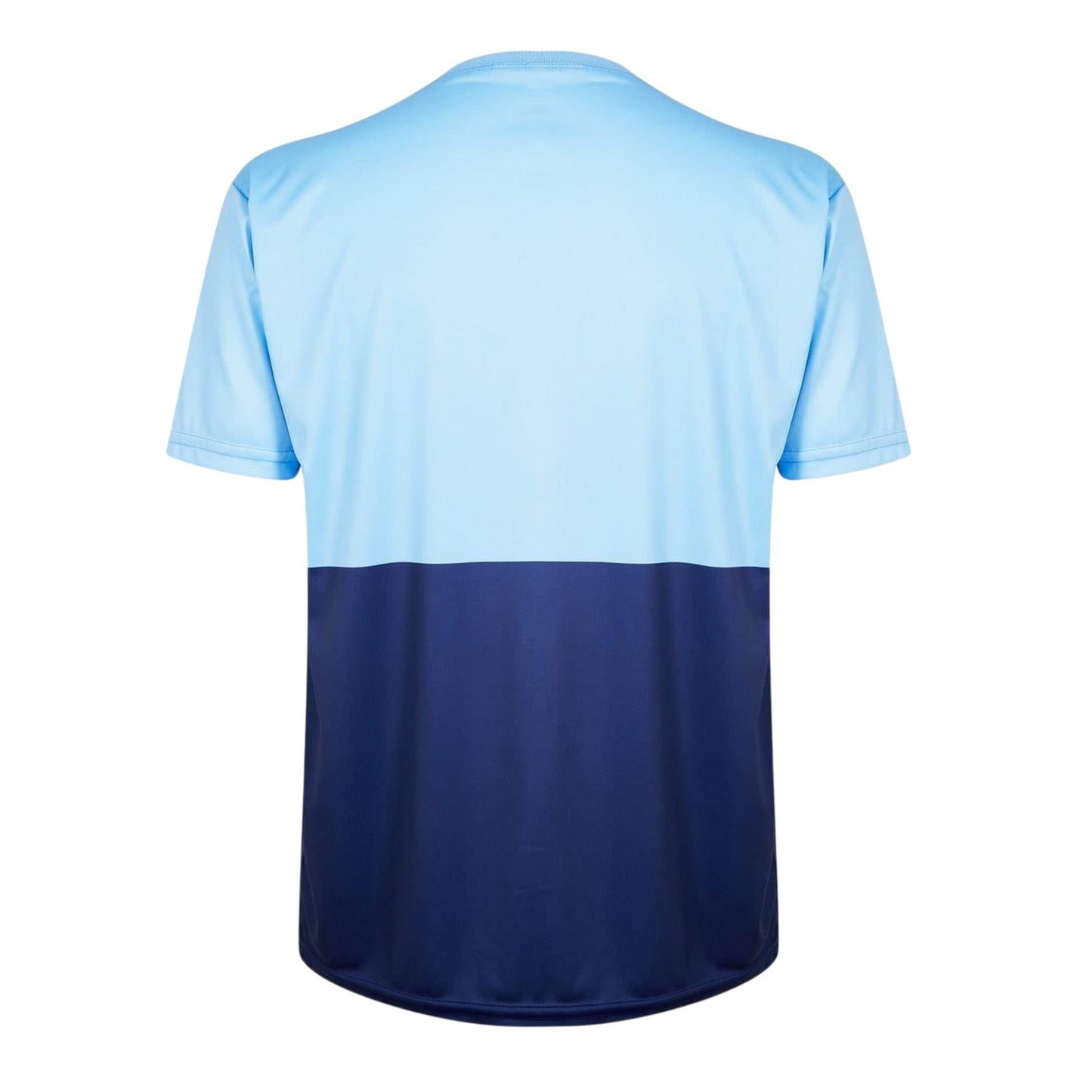 Blue - Back - Barmy Army Mens Crew Neck Regular Short-Sleeved T-Shirt