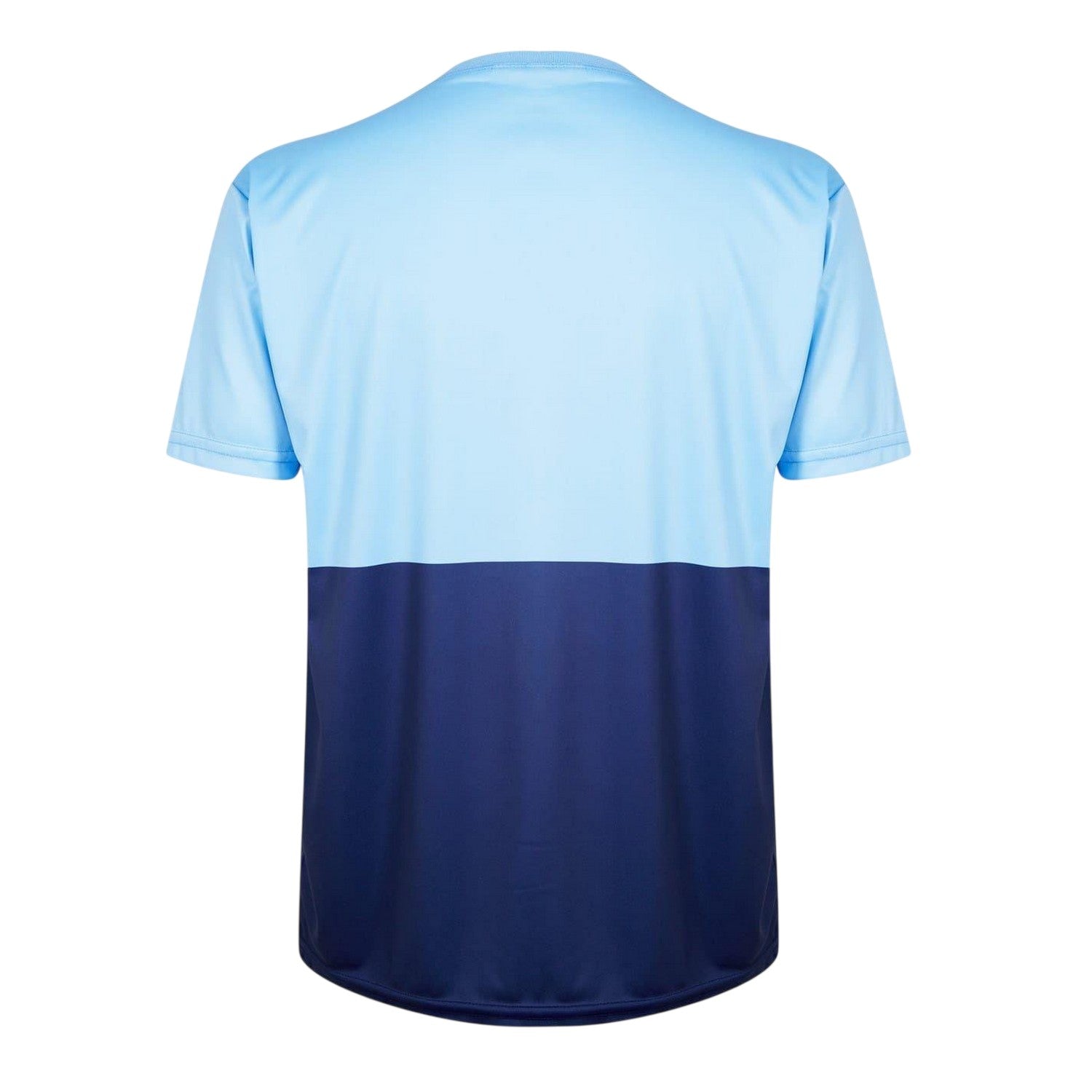 Blue - Back - Barmy Army Mens Crew Neck Regular Short-Sleeved T-Shirt