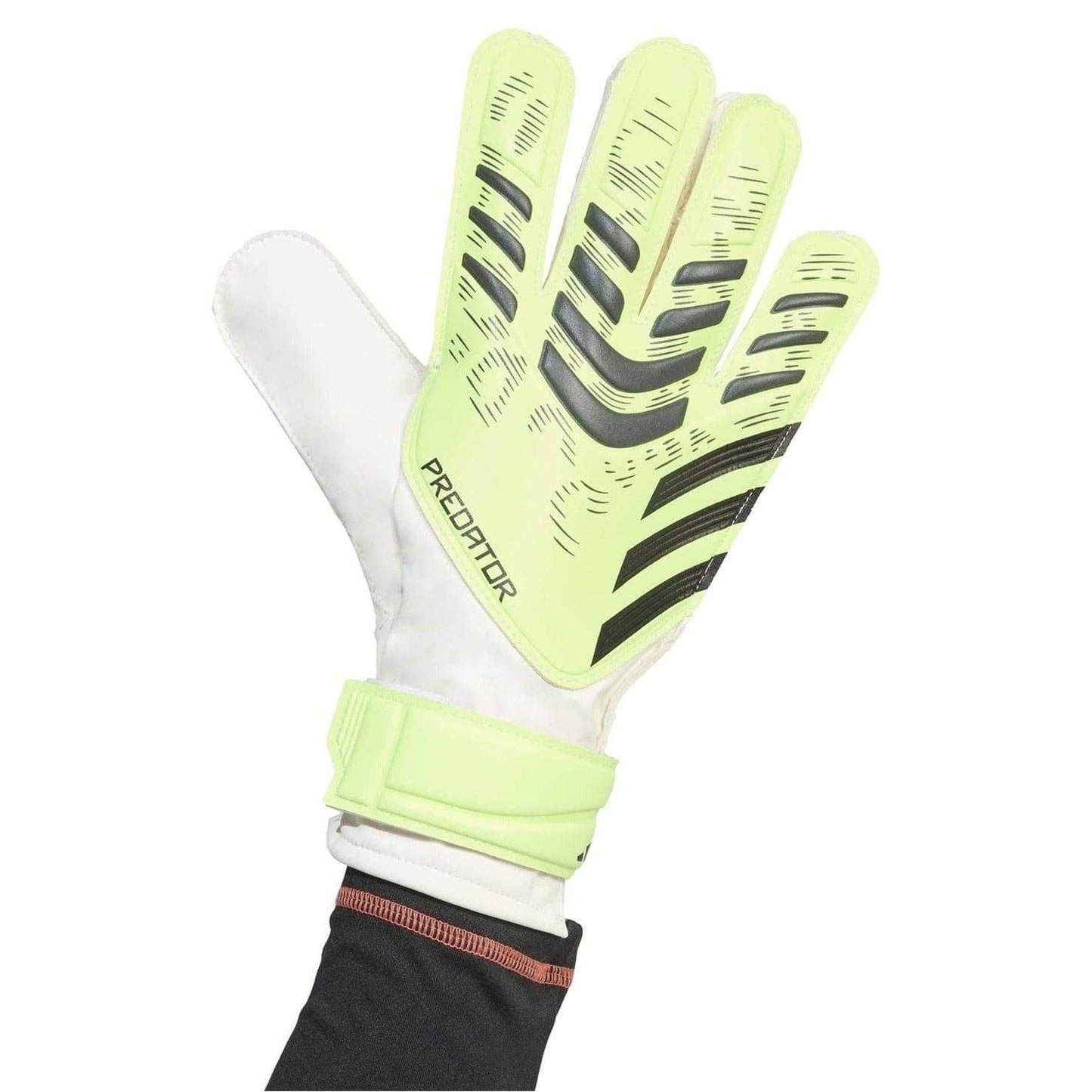 Lemon-Black - Side - Adidas Unisex Adult Predator Training Goalkeeper Gloves
